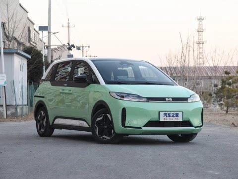 New Energy Electric BYD D1