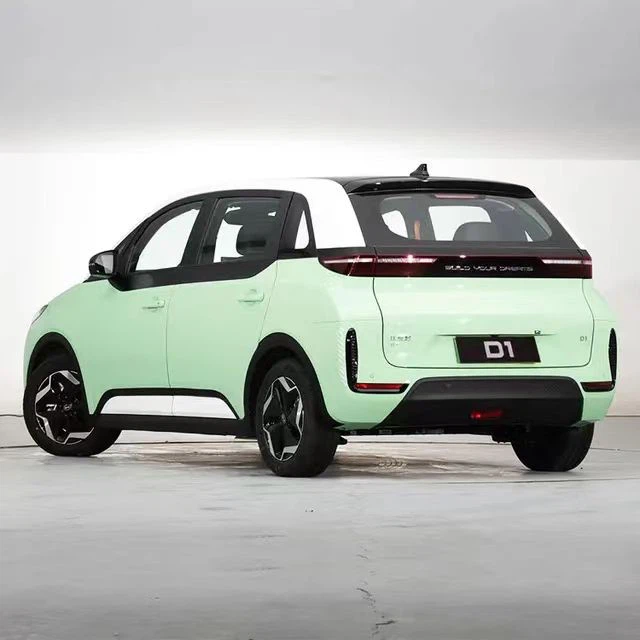 New Energy Electric BYD D1