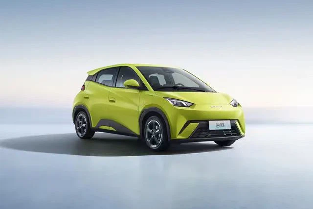 Slimme auto BYD - Zeemeeuw